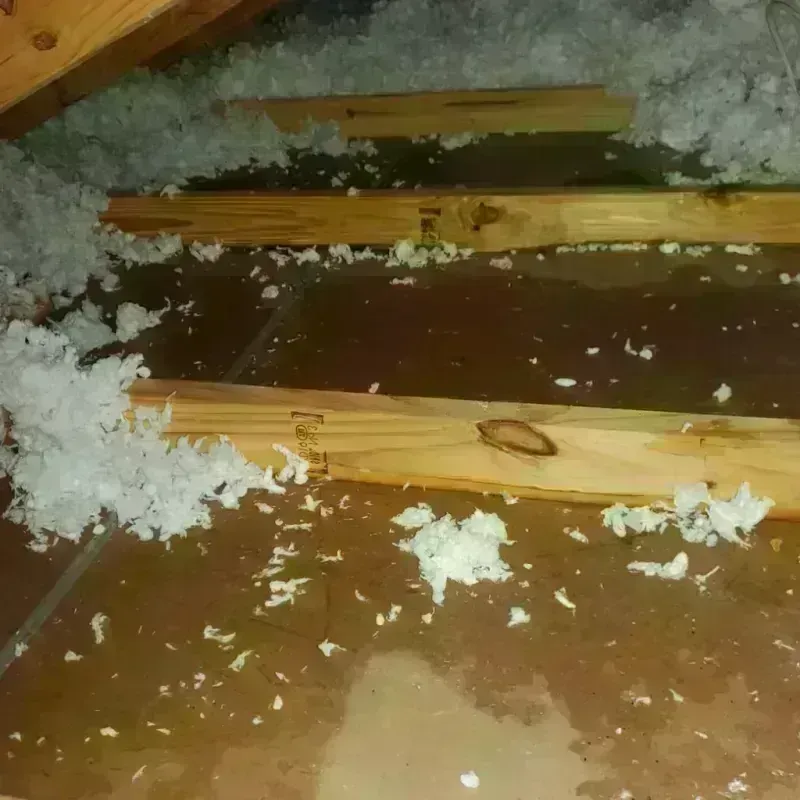 Attic Water Damage in Buena Vista, VA